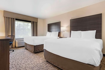 comfort inn and suites