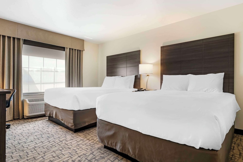 comfort inn and suites