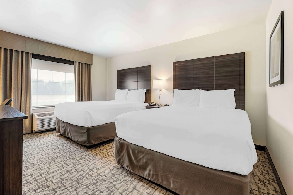 comfort inn and suites