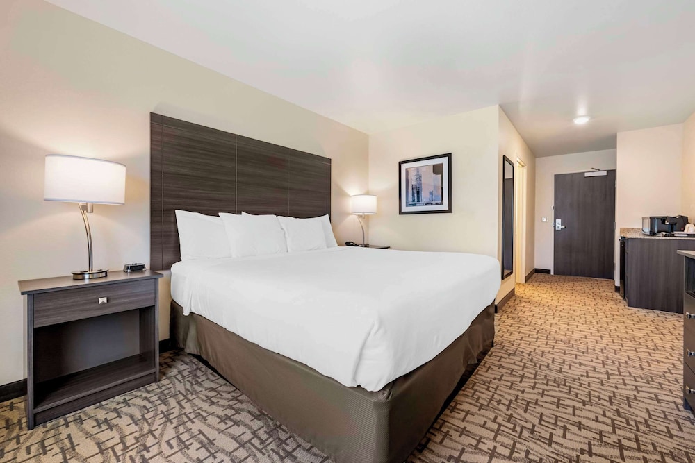 comfort inn and suites