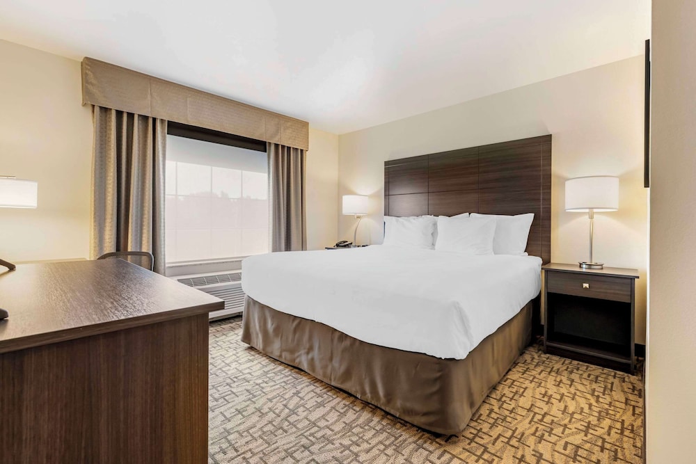 comfort inn and suites