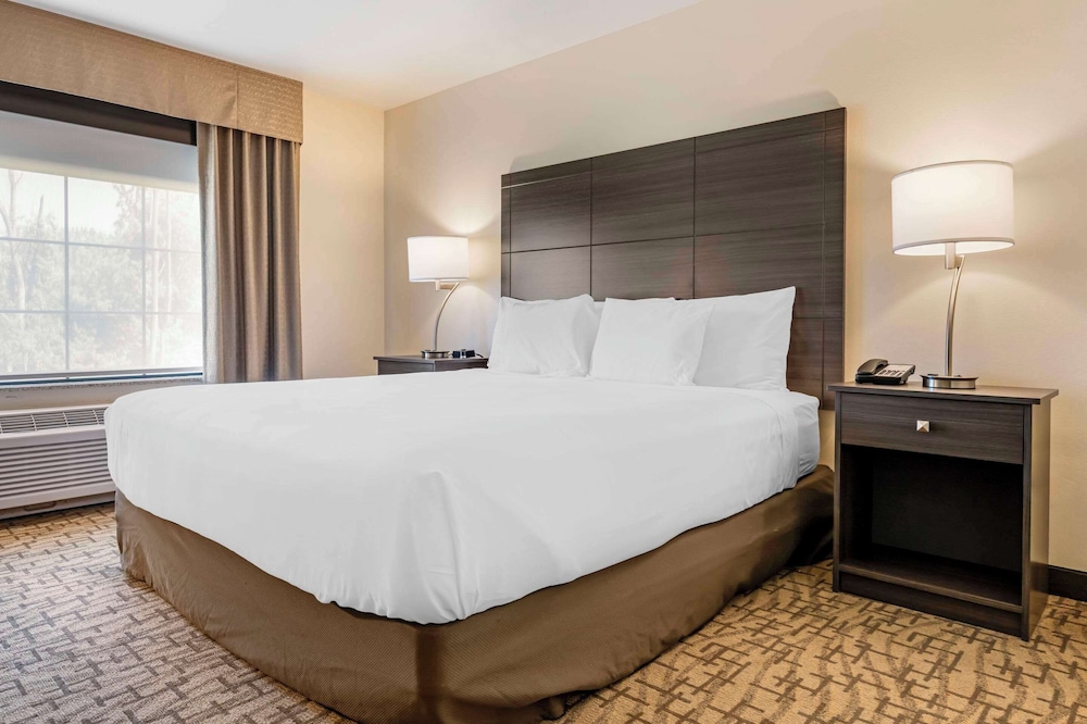 comfort inn and suites