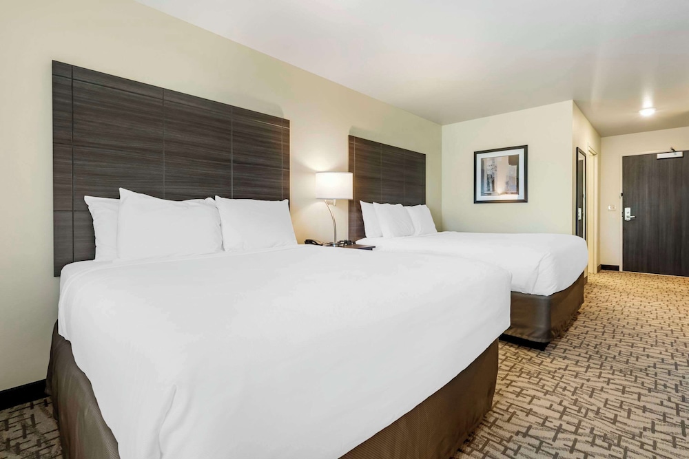 comfort inn and suites