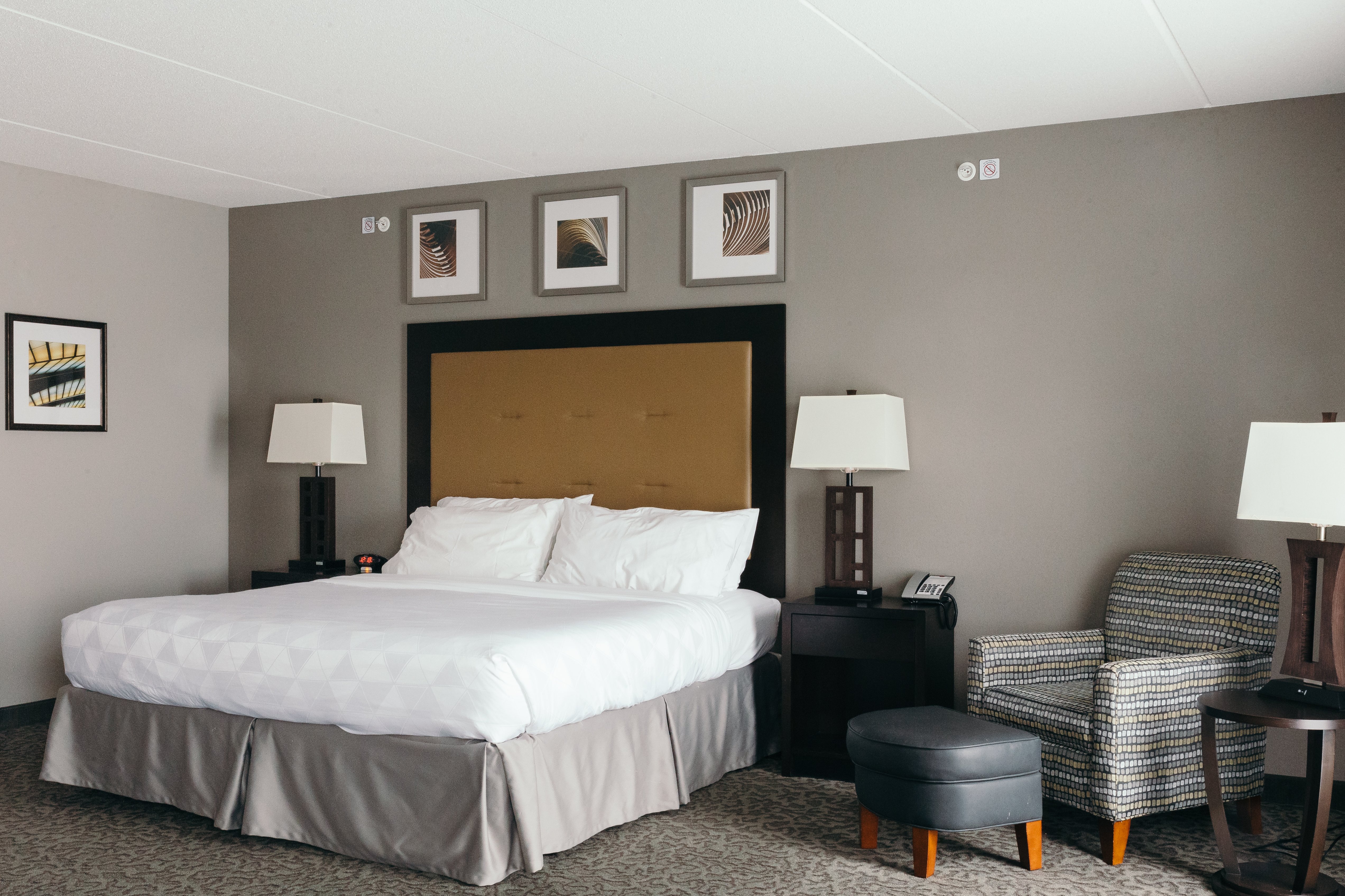 holiday inn hotel and suites east peoria by ihg