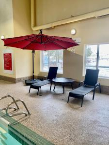 super 8 by wyndham edmonton south