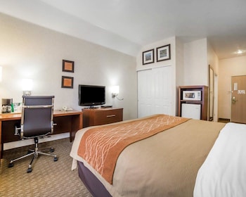 comfort inn elko