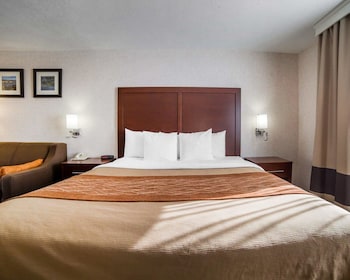 comfort inn elko