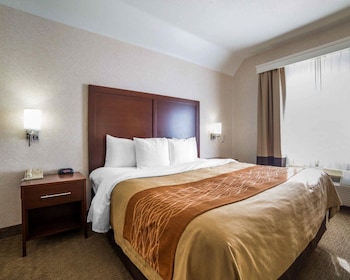 comfort inn elko
