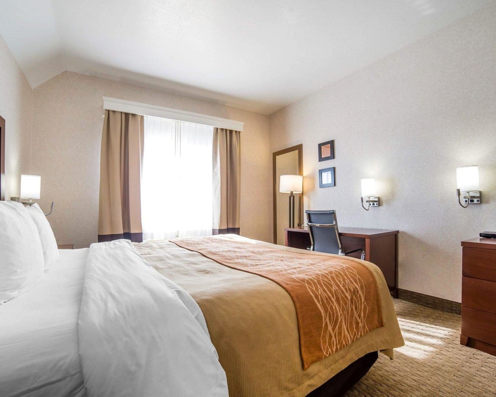 comfort inn elko