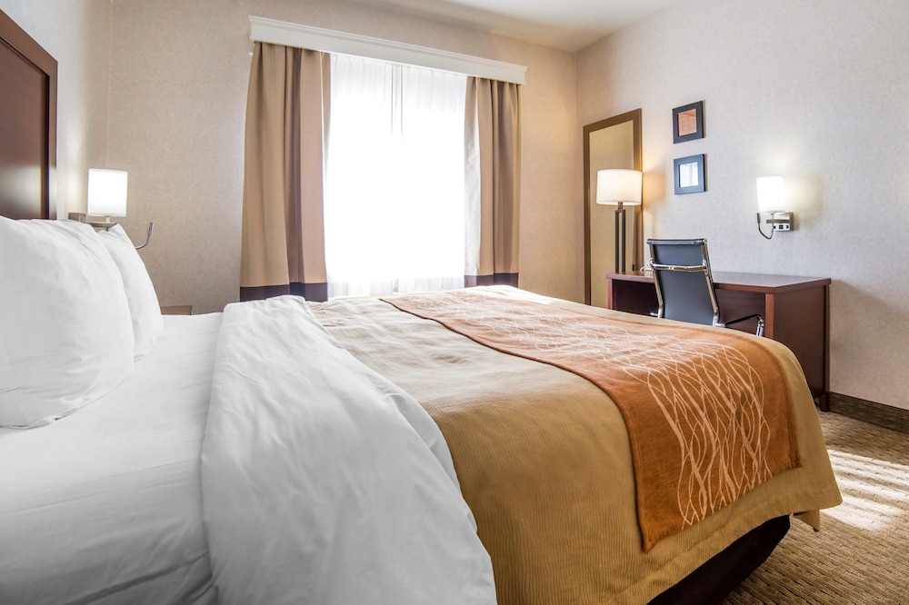 comfort inn elko