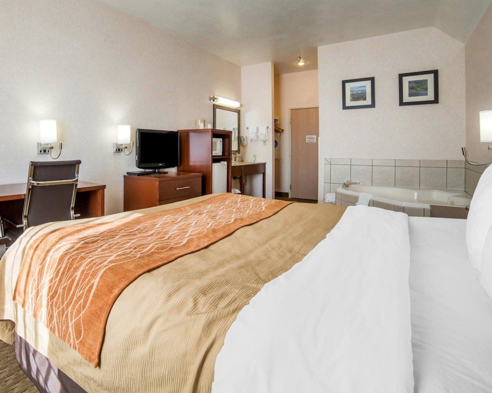 comfort inn elko