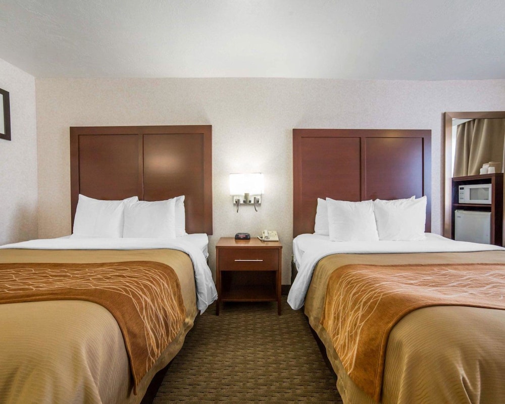 comfort inn elko