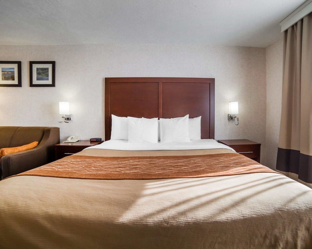 comfort inn elko