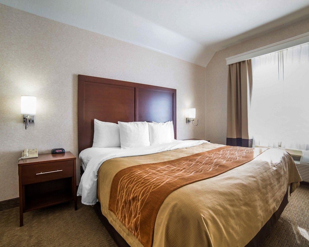 comfort inn elko