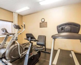 comfort inn elko