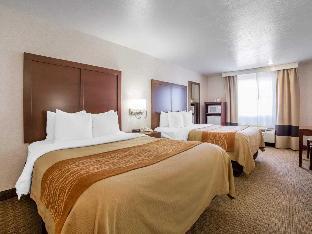 comfort inn elko