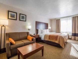 comfort inn elko