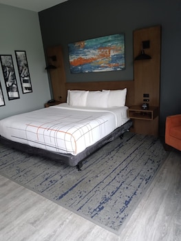 la quinta inn and suites by wyndham bardstown