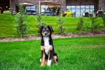 residence inn wenatchee