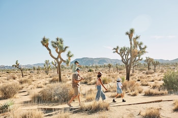 autocamp joshua tree
