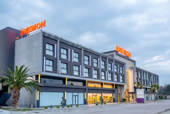 anemon aydin otel