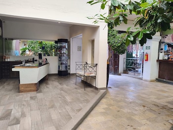 hotel jardines del centro