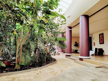 hotel jardines del centro