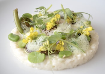 Intercontinental San Francisco By Ihg,South Of Market>>San Francisco,4 star