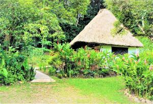 The Maya Mountain Lodge,Near Green Iguana Conservation Project,3 star
