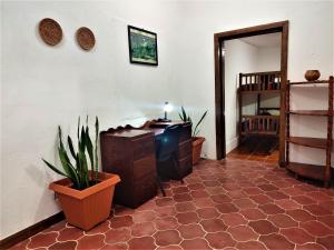 The Maya Mountain Lodge,Near Green Iguana Conservation Project,3 star