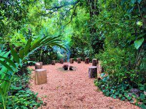 The Maya Mountain Lodge,Near Green Iguana Conservation Project,3 star