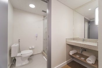 ibis budget farroupilha