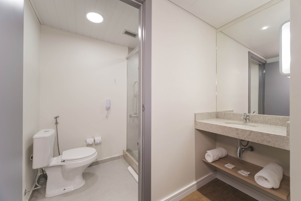 ibis budget farroupilha