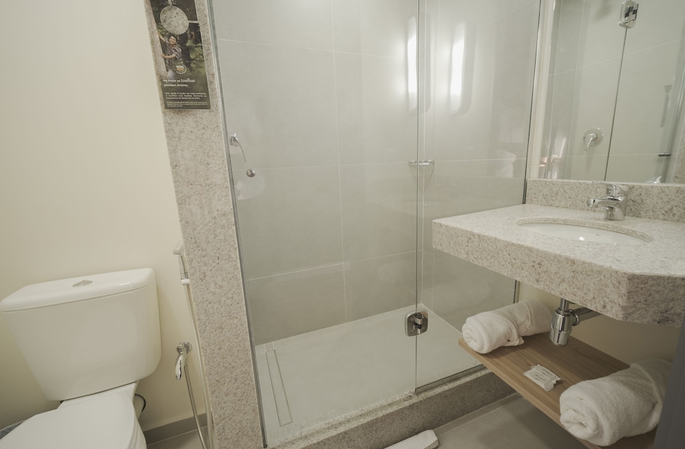 ibis budget farroupilha