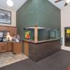 super 8 by wyndham willmar