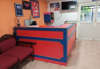 the big cat den resort