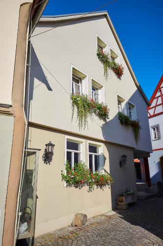 bad windsheim