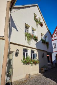 bad windsheim