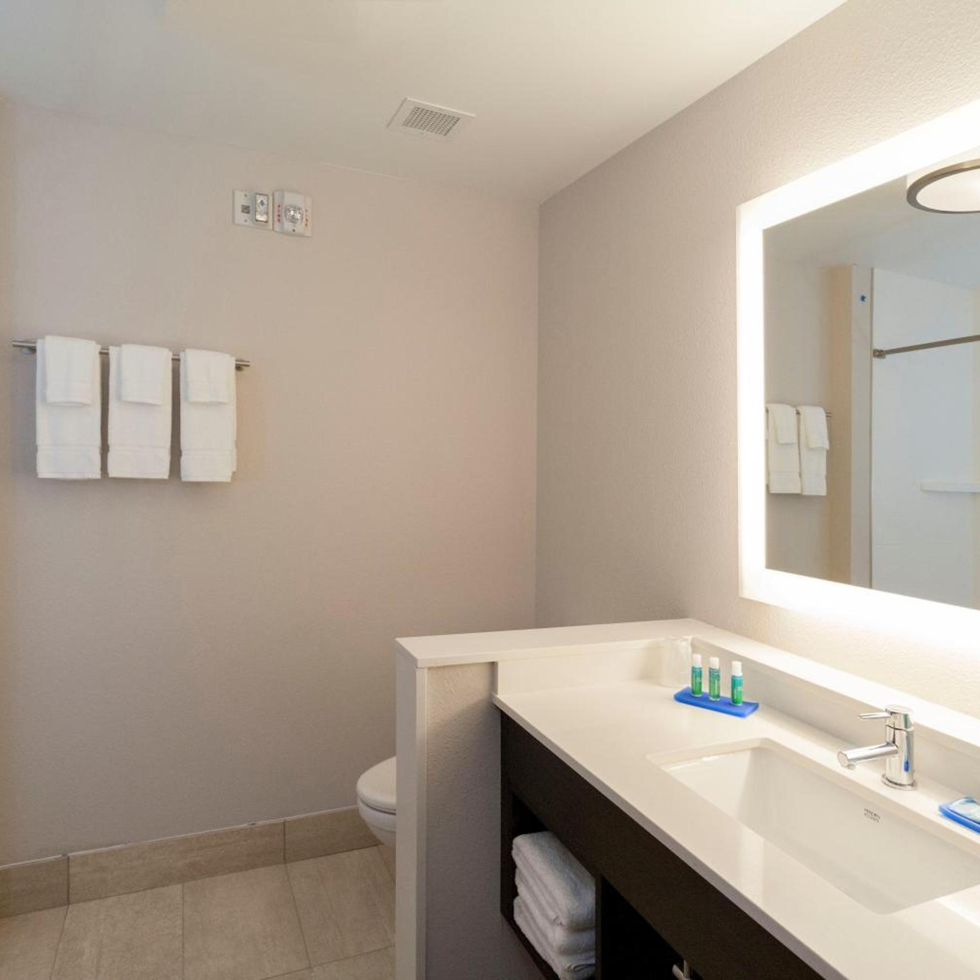 holiday inn express hotel and suites dallas south desoto