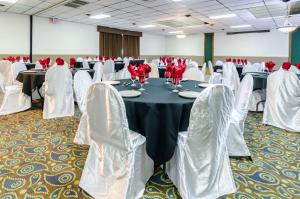 quality inn and suites