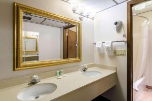 quality inn and suites