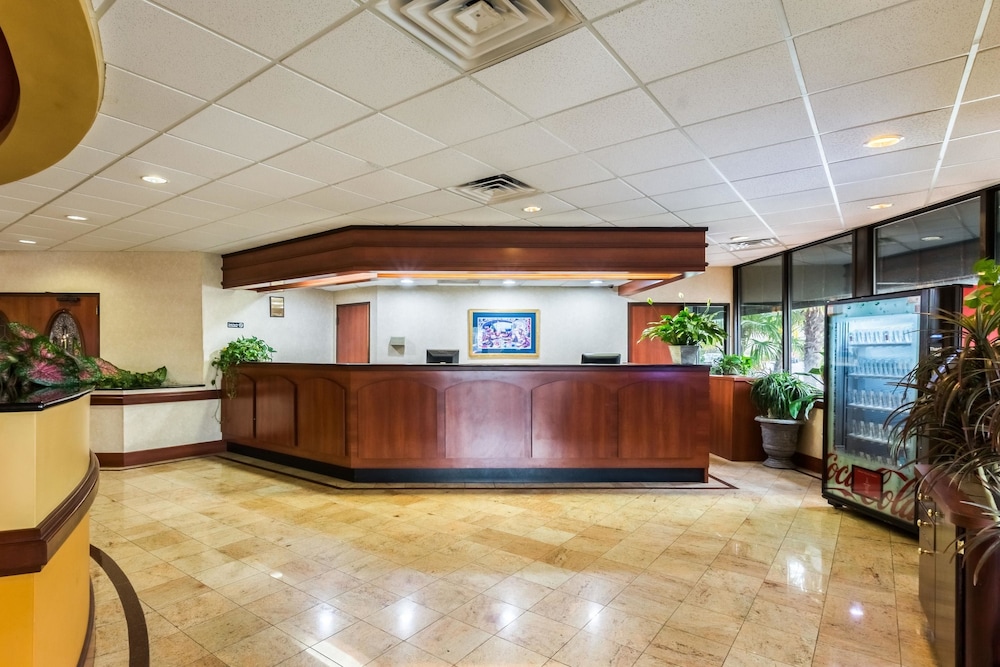 suburban studios florence darlington