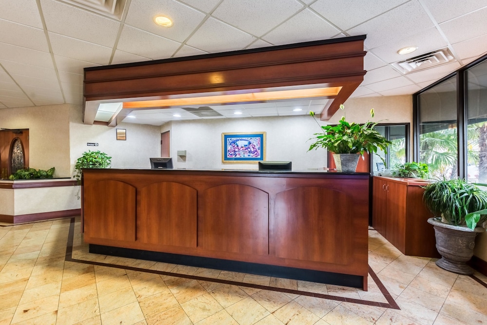 suburban studios florence darlington