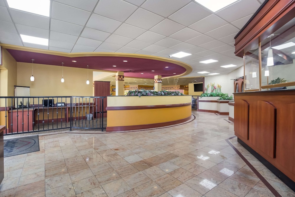 suburban studios florence darlington