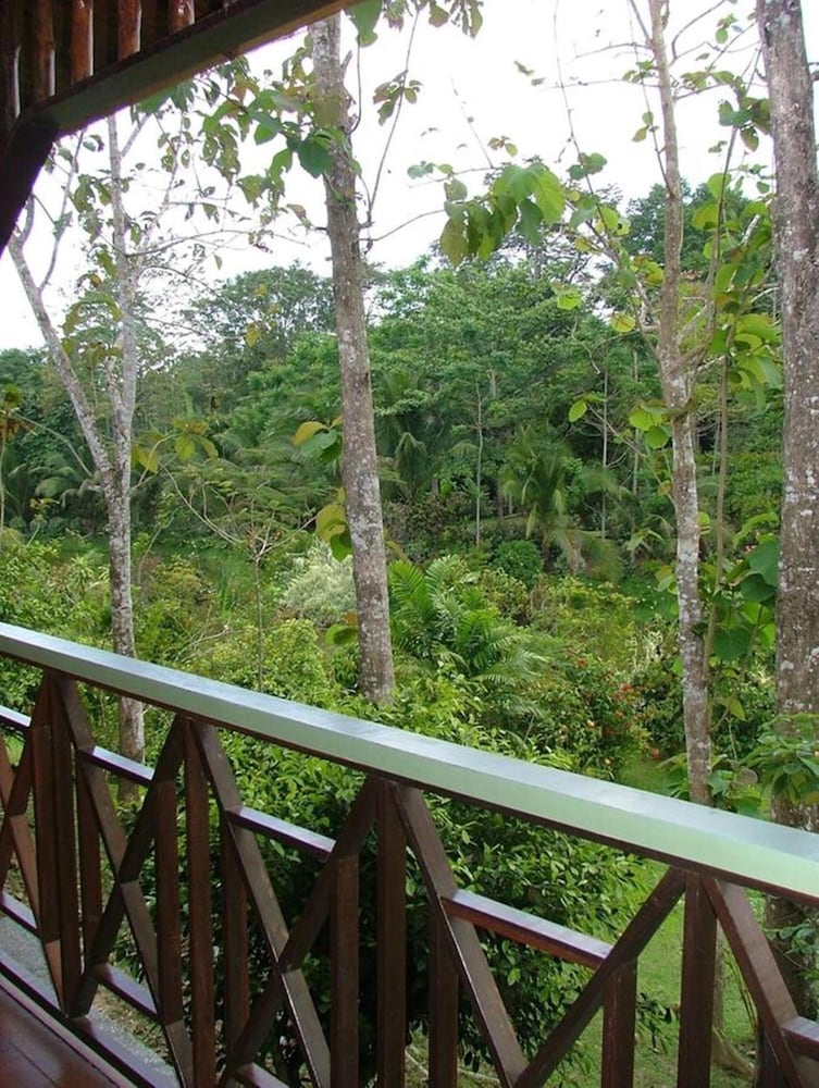 sepilok jungle resort
