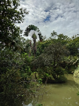 Sepilok Jungle Resort,Sabah>>Kota Kinabalu,3 star
