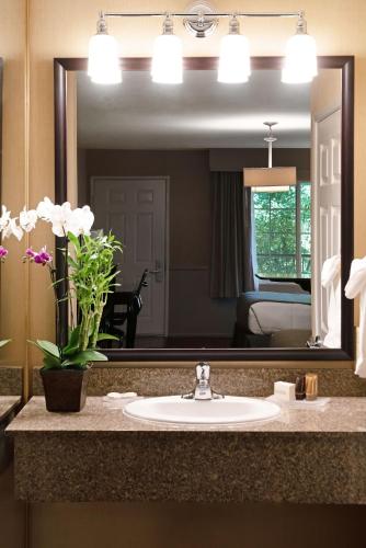 best western corona hotel and suites