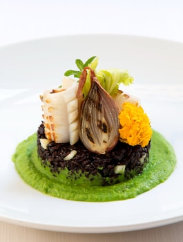 starhotels metropole