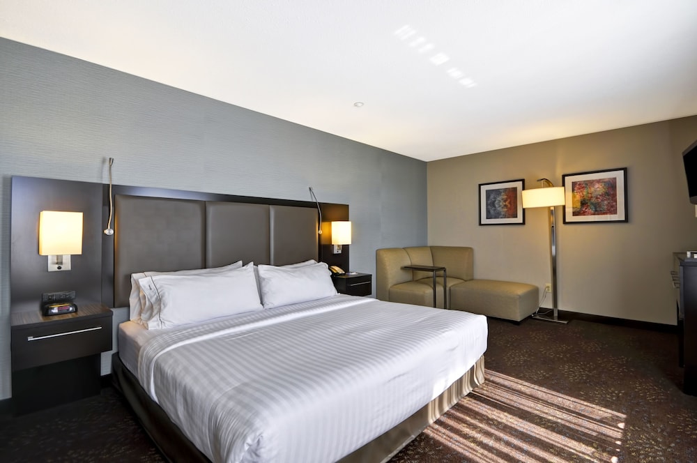holiday inn express romulus detroit airport by ihg