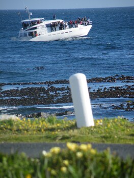 138 Marine Beachfront Guesthouse,Cape Town>>Betty's Bay,4 star